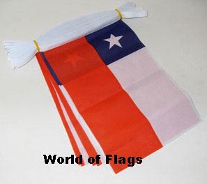 Chile Bunting 9m