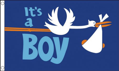 Its A Boy Flag Stork with Baby