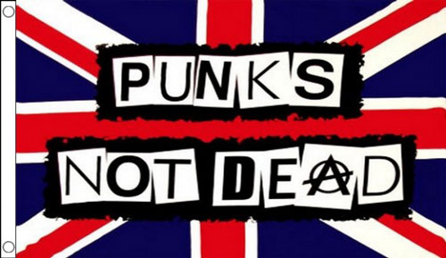 Punks Not Dead Flag