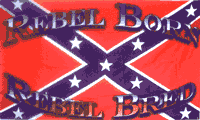 Rebel Born Rebel Bred Flag