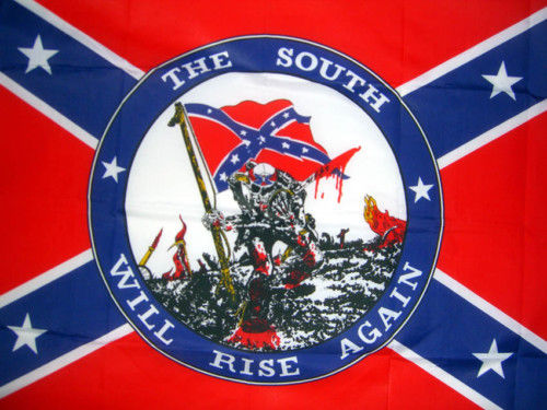 The South Will Rise Again Flag
