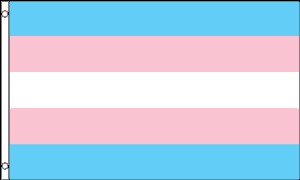 Transgender Flag Light Colours 