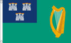 Dublin Flag (City of Dublin Flag)