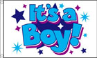 Its A Boy Flag with Stars