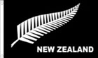 5ft by 8ft New Zealand Silver Fern Flag