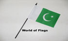 Pakistan Hand Flag