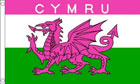 Pink Wales Flag (Cymru)
