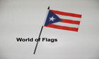 Puerto Rico Hand Flag