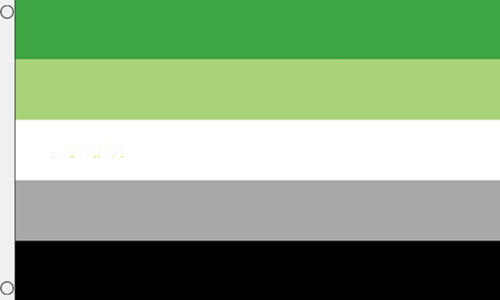 Aromantic Flag