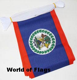 Belize Bunting 6m