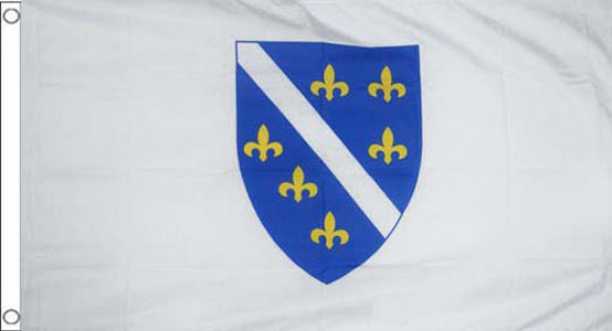 Old Bosnia Flag