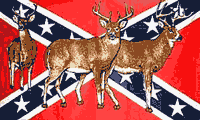 Confederate Deer Flag