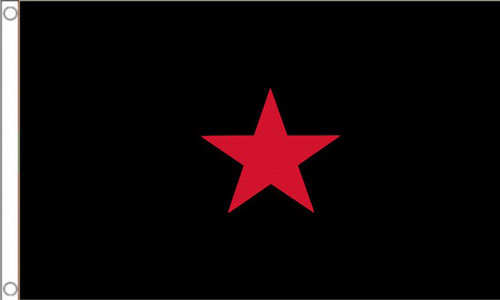 EZLN Flag