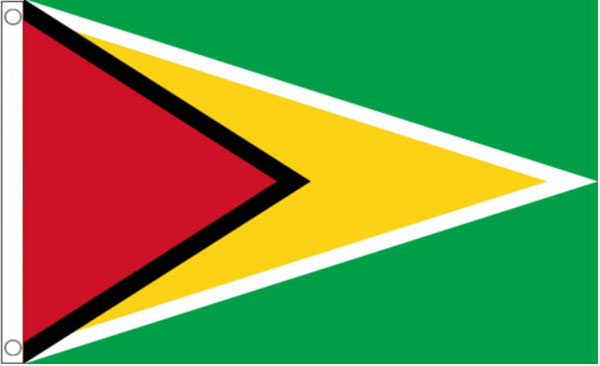 Guyana Funeral Flag