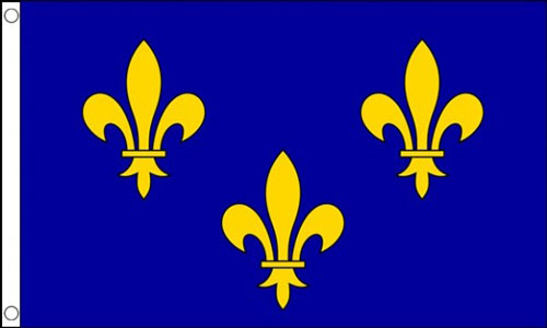 Fleur De Lis Flag