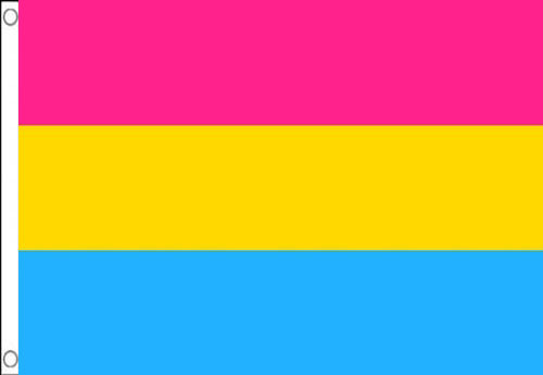 5ft by 8ft Pansexual Flag