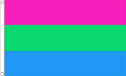 Polysexual Flag