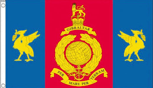 Royal Marines Reserves Merseyside Flag