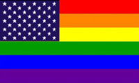 Rainbow USA Flag