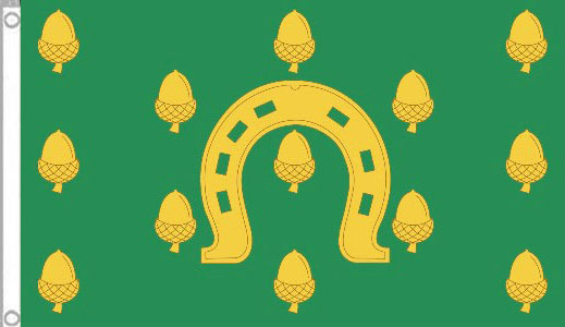 Rutland Flag