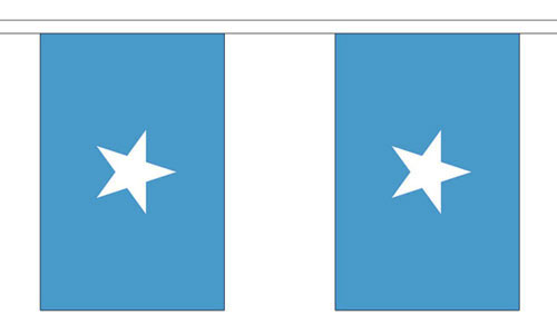 Somalia Bunting 3m