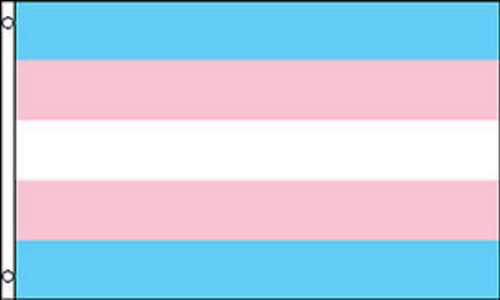 2ft by 3ft Transgender Flag