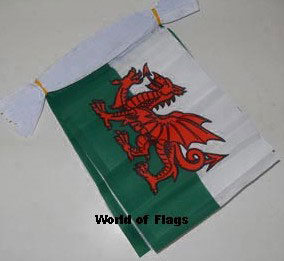 Wales Bunting 9m