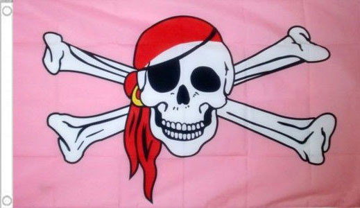 2ft by 3ft Pink Pirate Flag