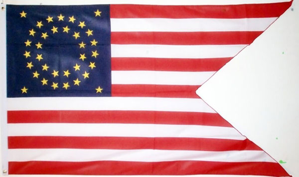 US Cavalry Flag