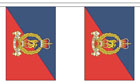 Adjutant General Corps Bunting 3m