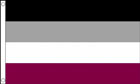2ft by 3ft Asexual Flag