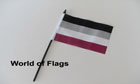 Asexual Hand Flag