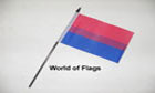 Bi Pride Hand Flag
