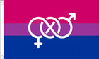Bi Pride Gender Symbols Flag
