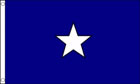 Bonnie Blue Flag