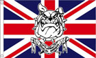 5ft by 8ft British Bulldog Flag