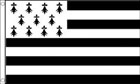 Brittany Funeral Flag