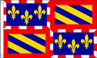 Burgundy Region Flag 