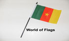 Cameroon Hand Flag