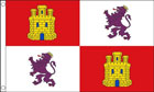 Castile and Leon Flag 