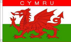 2ft by 3ft Welsh Cymru Flag