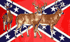 Confederate Deer Flag