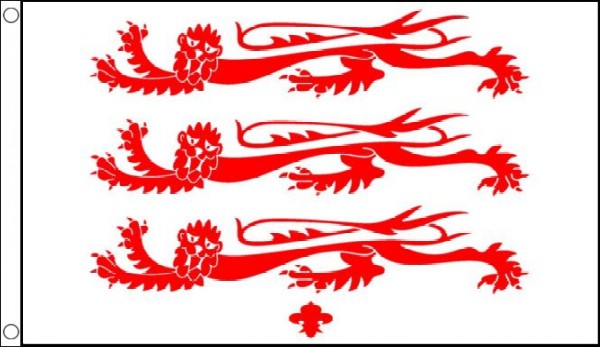 Dorset Lions Flag