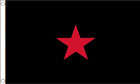 EZLN Flag