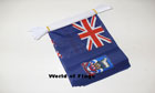 Falklands Bunting 6m