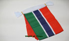 Gambia Bunting 9m