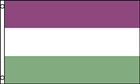 2ft by 3ft Genderqueer Flag