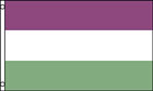 Genderqueer Flag