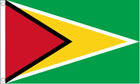 2ft by 3ft Guyana Flag