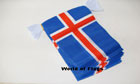 Iceland Bunting 9m